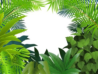 Obraz premium Tropical forest background