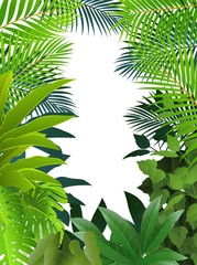Obraz premium Tropical forest background