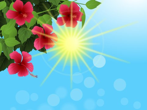 Nature background