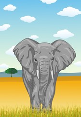 Éléphant avec fond de savane africaine