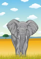 Store enrouleur tamisant Zoo Éléphant avec fond de savane africaine