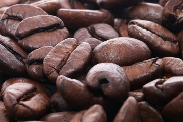 coffee grains