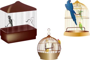 Photo sur Aluminium Oiseaux en cages perroquets dans des cages isolated on white