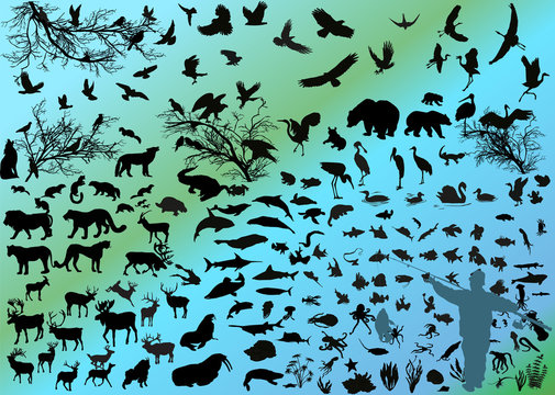 different animals silhouettes on light background