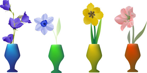set of flowers in vases isolated on white
