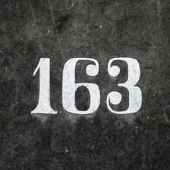 Nr. 163