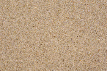 Nahaufnahme von trockenem sandigen Strand