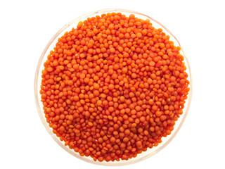 Lentils in bowl.