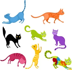 Photo sur Plexiglas Chats ensemble de chat