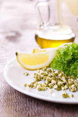 germinating seed mung