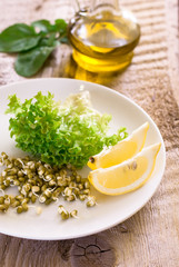 germinating seed mung