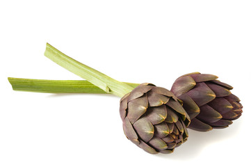 Two Artichokes