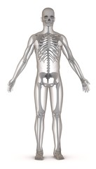 Fototapeta na wymiar 3d sztucznej postaci ze szkieletem