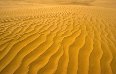 Sand Dune