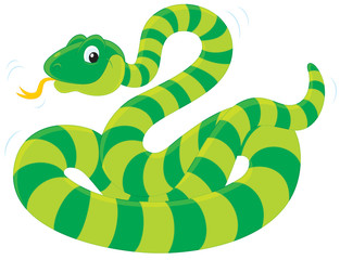 Fototapeta premium green striped snake