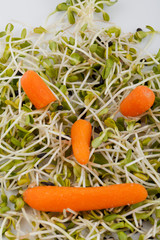 Fresh alfalfa sprouts and carrot isolated on white background