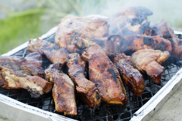 Marinated Spare Ribs & Chicken Thighs in a Foil BBQ