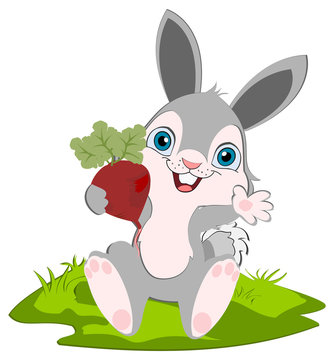 Bunny and radish