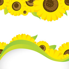 Vector background with sunflowers