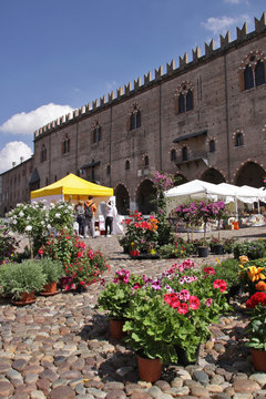 Mantova, Piazza Sordello