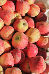 many ripe apples on the market
