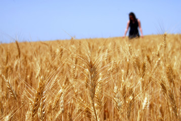 Woman in Wheat Field © Rafael Ben-Ari
