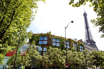 Naklejka premium Tour Eiffel et façade de verdure.