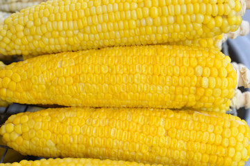 corn pattern