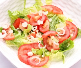 frischer Salat