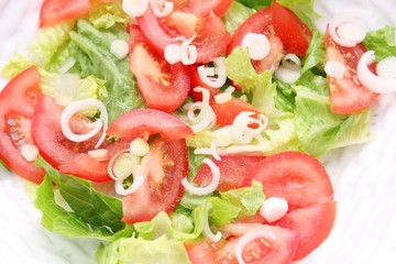 frischer Salat
