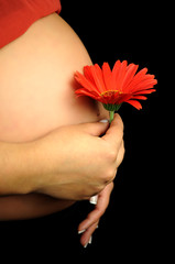 Pragnancy e Flower