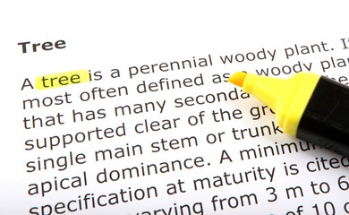 Text highlighted with felt tip pen