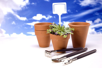 Flowers and garden tools, pots and can