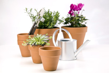 Flowers and garden tools, pots and can