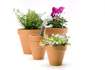 Flowers and garden tools, pots and can