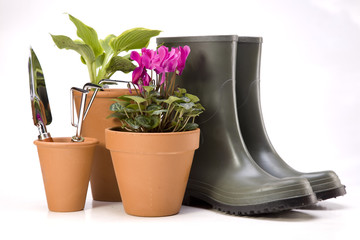 Flowers and garden tools, pots and can