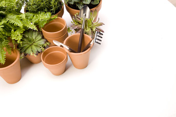 Flowers and garden tools, pots and can