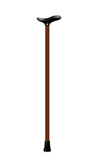 Walking stick