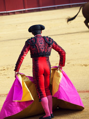 Matador in Ring with Bull