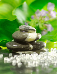 spa and equilibrium concept