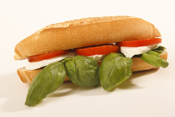 panino con caprese italiana