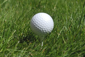 Pelota de golf en el césped