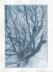 Blue tree print