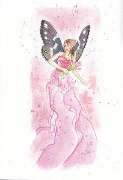 Pink Fairy