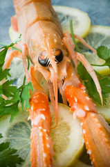 scampo su letto di limoni