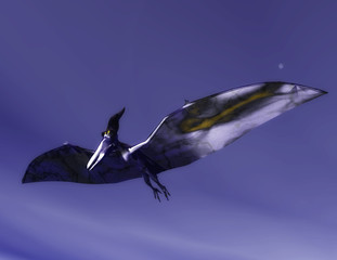 Flugsaurier © crimson