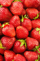 fresh strawberry