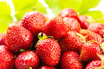 fresh strawberry