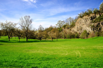 Plakat Meadow with green grass and blue sky with clouds and tree