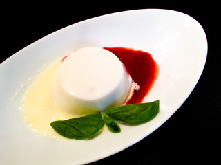 Pannacotta / パンナコッタ